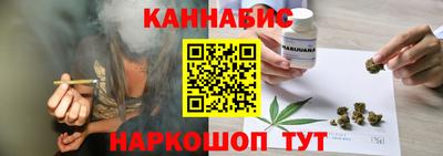 мдпв Татарск