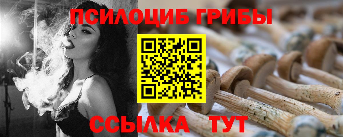 Псилоцибиновые грибы GOLDEN TEACHER Архангельск